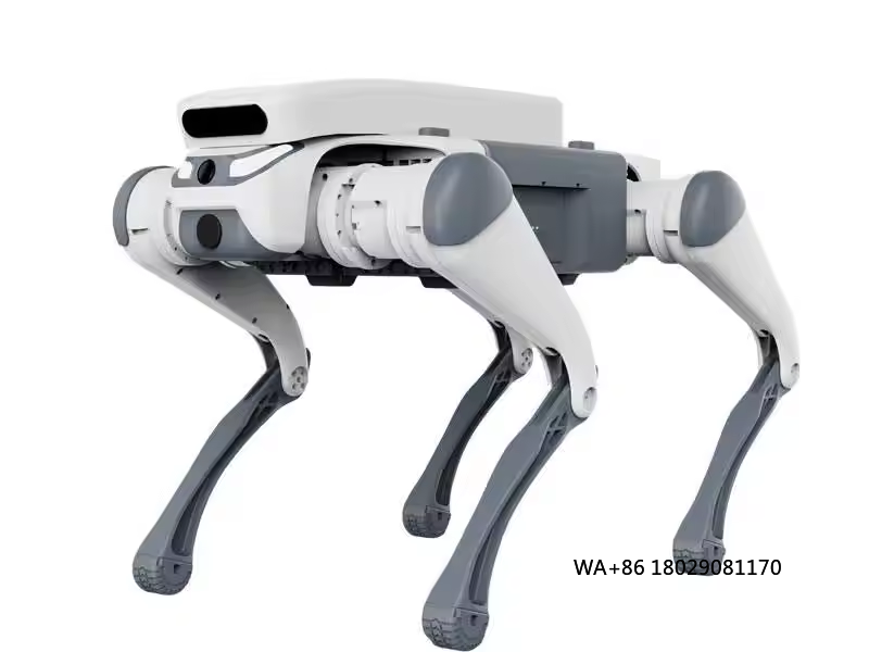 Educational Toys - Mainan edukatif kendali jarak jauh, robot