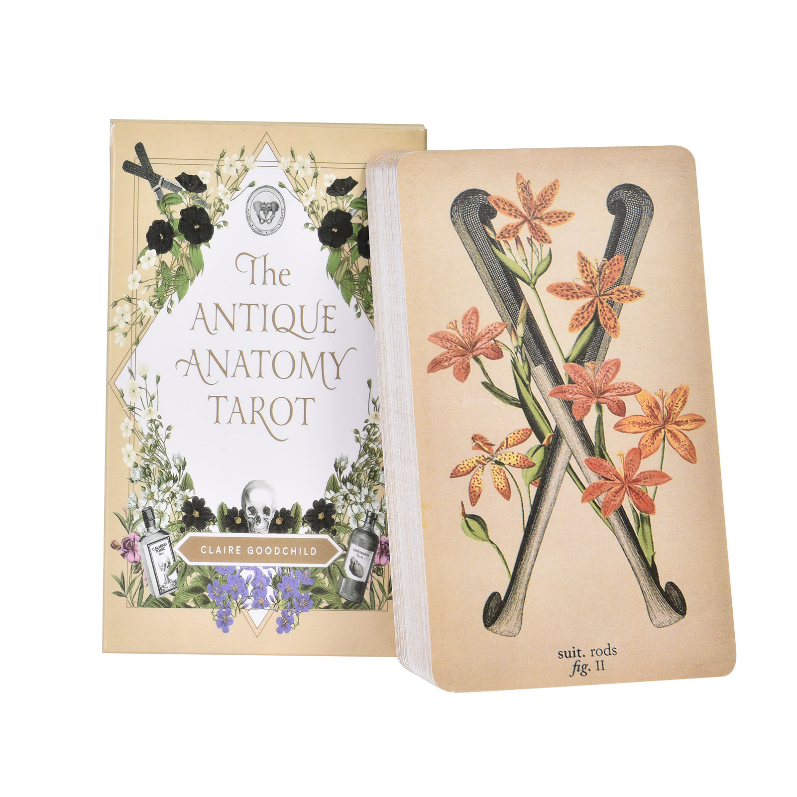 Tarot Cards Deck With Guidebook - Kartu Tarot Anatomi Antik Versi Inggris,